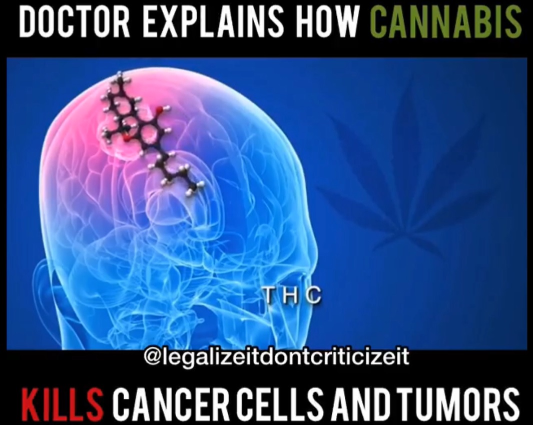 Doctor Explains THC